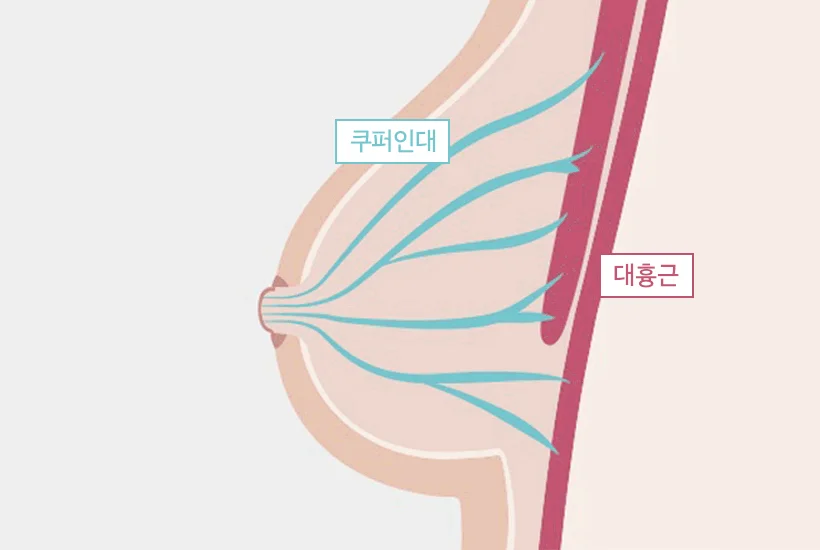 [리프팅 수면브라] 편해브라 릴렉스 상세 이미지 8