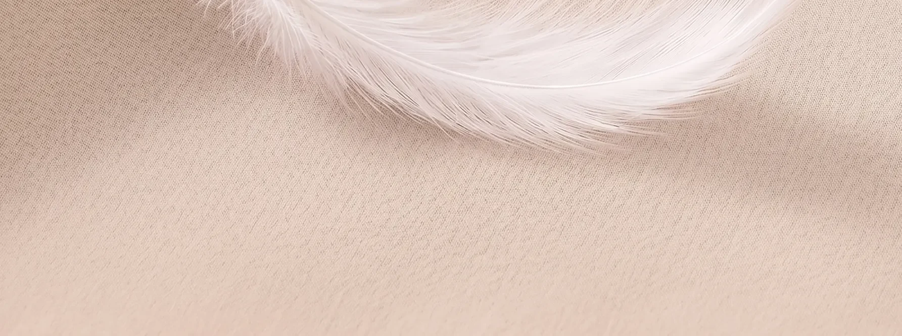 퓨어브라 에어 상세 이미지 2