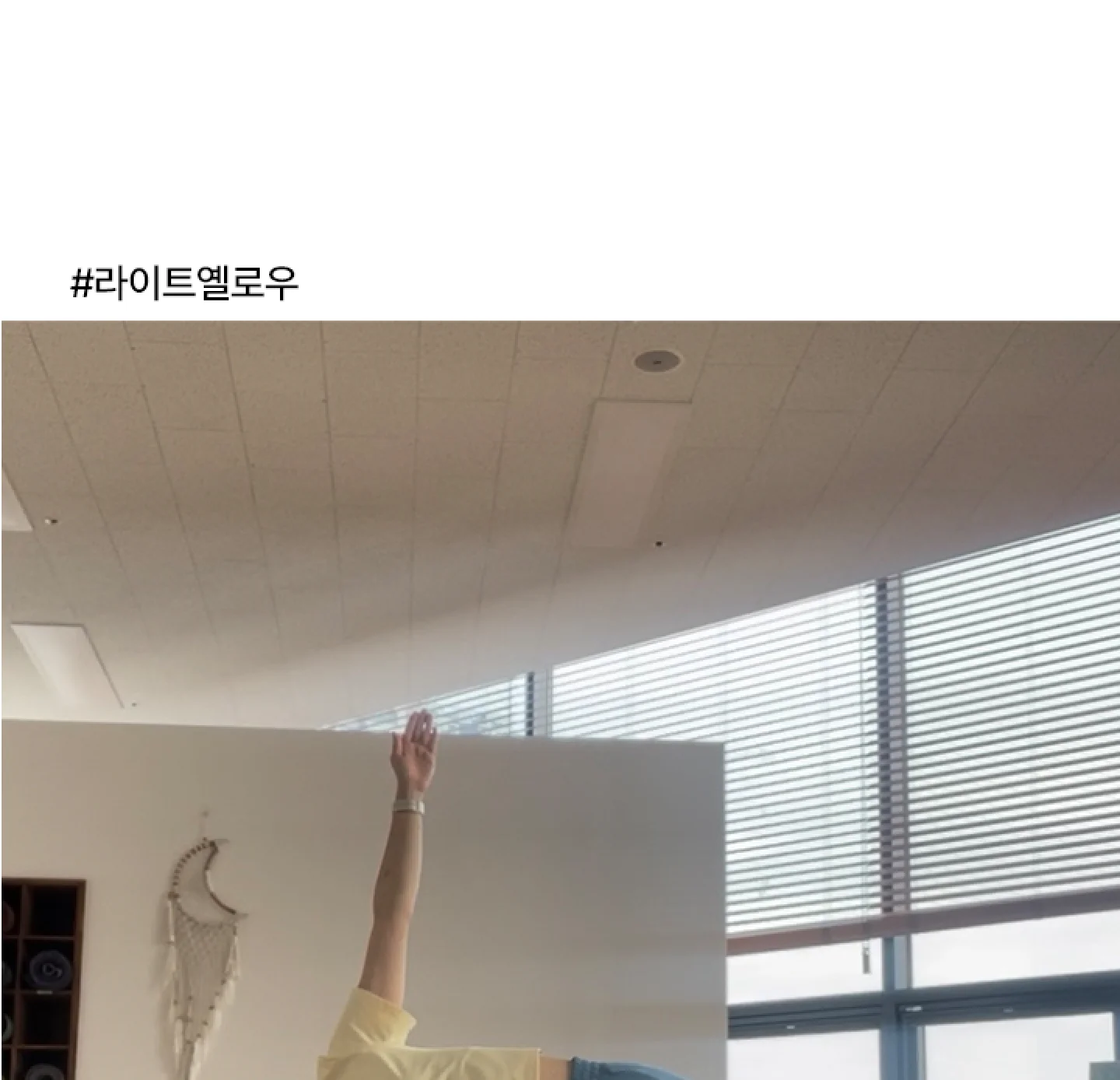 비건 세미 크롭티 숏 상세 이미지 20