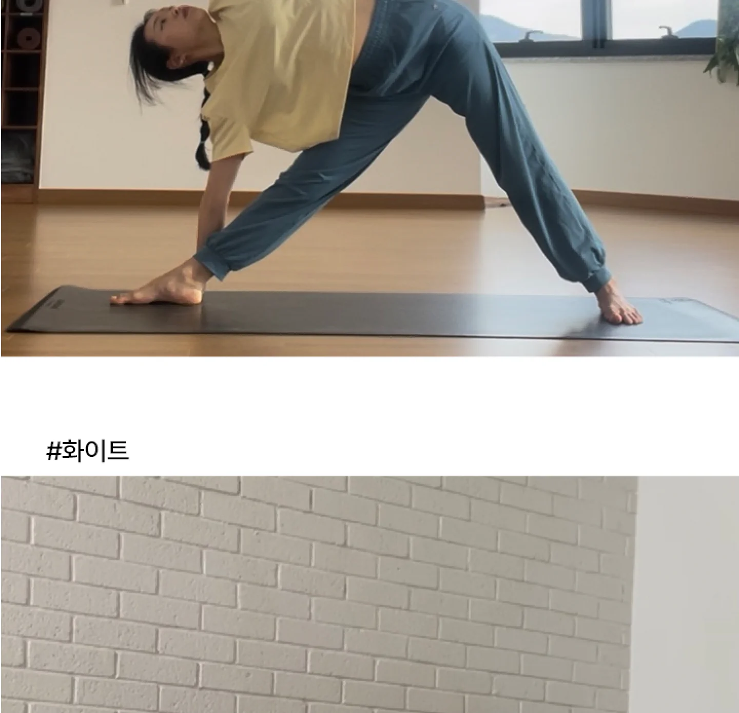 비건 세미 크롭티 숏 상세 이미지 21